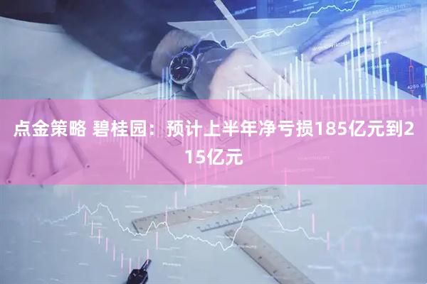 点金策略 碧桂园：预计上半年净亏损185亿元到215亿元
