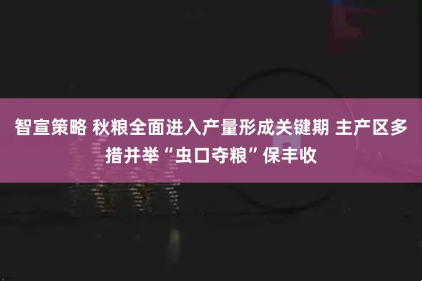 智宣策略 秋粮全面进入产量形成关键期 主产区多措并举“虫口夺粮”保丰收