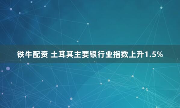 铁牛配资 土耳其主要银行业指数上升1.5%